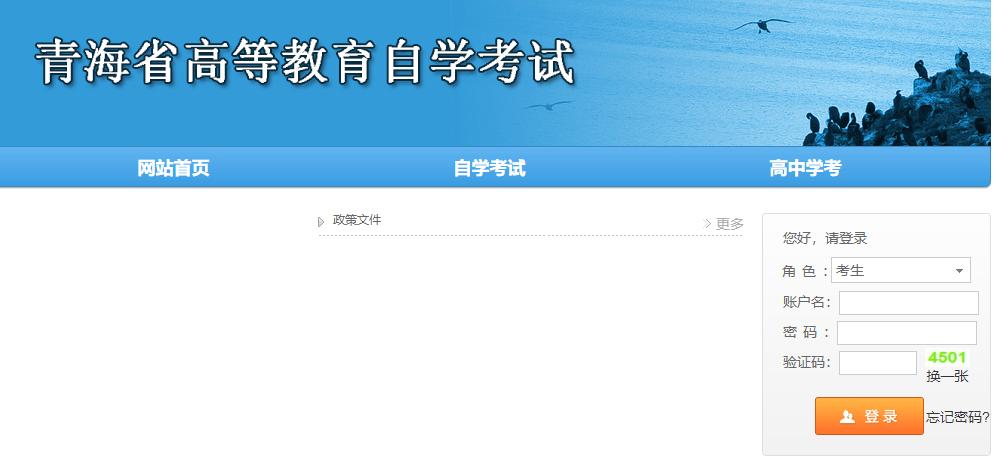 中国自学考试网成绩查询，全面解析与操作指南